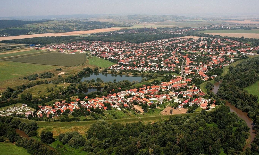 Szirmabesenyő