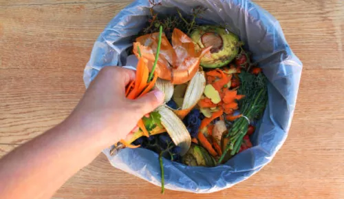 Tájékoztató a konyhai biohulladékgyűjtő edények júliusi mosásáról